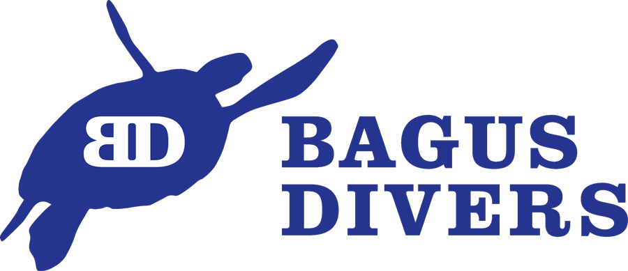 Bagusdivers（バグースダイバーズ）